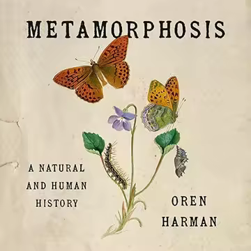 [Image: 79180e75b0560902b6a82d656ecacbcd.avif]