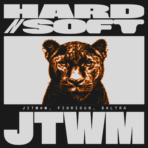  Jitwam & Fiorious - HARD N SOFT (BALTRA REMIX) (2025) 