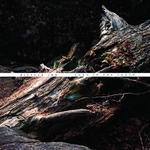  Bicycle Inn - Long in the Tooth (2025) 