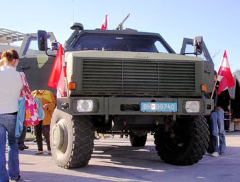 Dingo II Walk Around