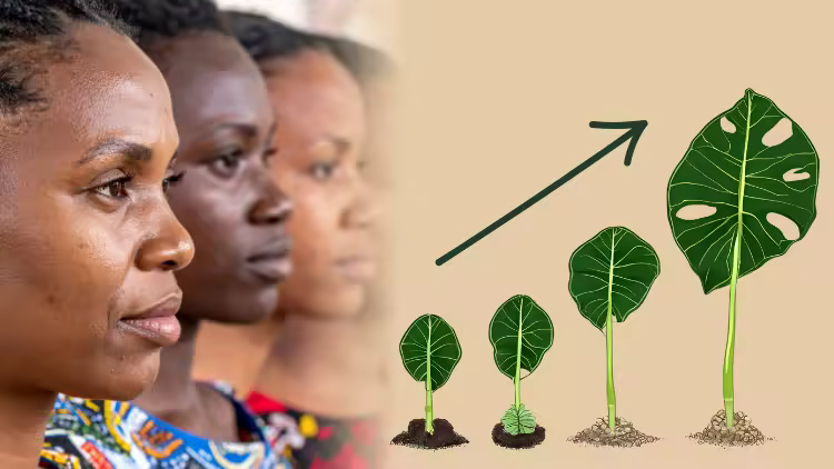 [Image: efd17a93d58f0ec6ac94b188429ce235.avif]