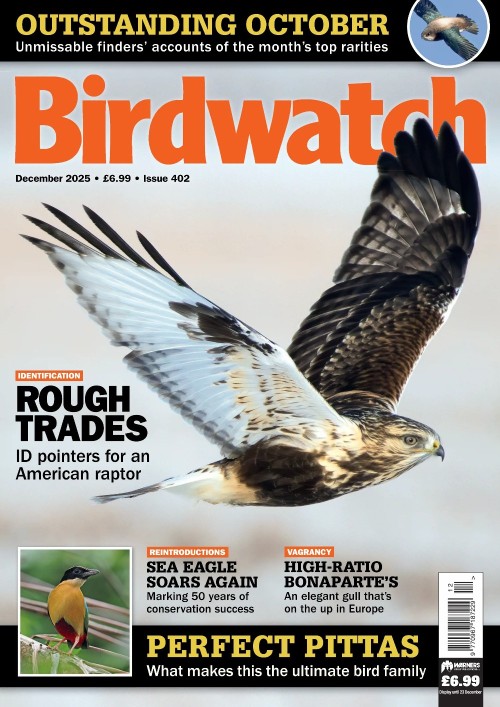 Birdwatch UK - December 2025