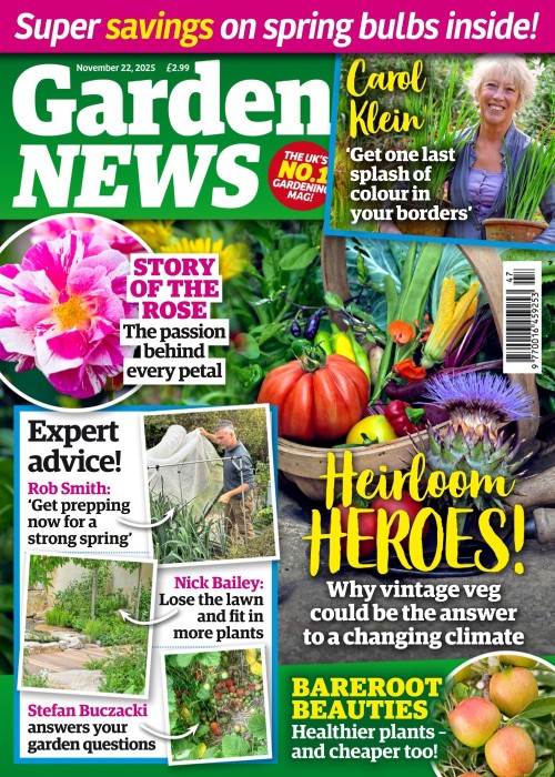 Garden News - 22 November 2025