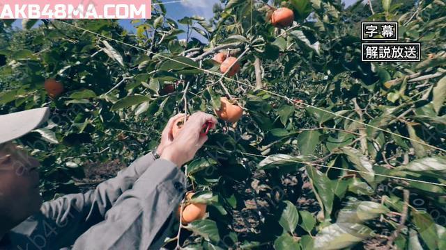 Webstream | 251123 Yutaka na Shoku no Mirai wo Sagashite (Nagahama Neru)