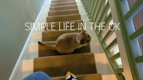 [Image: 8e0ebbdf7aca8ce5b53dfb5395712649.jpg]