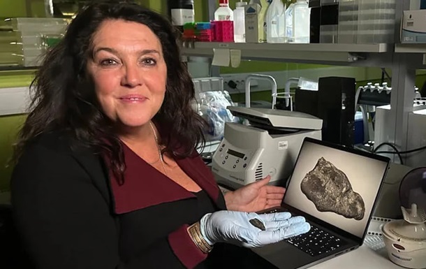 В Эстонии нашли смолу, которую жевала девушка каменного века