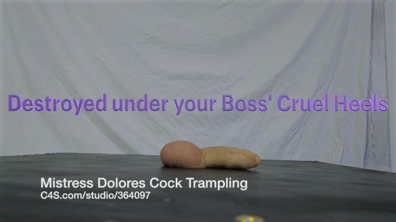 Mistress Dolores Slave - Angry Boss's CBT Shoejob under Work Heels VALUE PACK 4 versions [HD 720P]