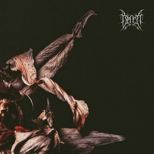 [Bild: 25780813db4fdd6108d74a2d237e05ac.jpg]