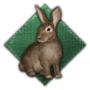 c6fe3a7afb18a31620d443535a03bd20.png?md5