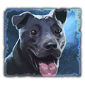 2e1d0f9260c532ea150b9084647bca32.png?md5