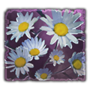 95b86fc75e229de6c9565b850ddc2856.png?md5