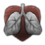 d8dae244b961ae5a2b1ba55515775775.png?md5