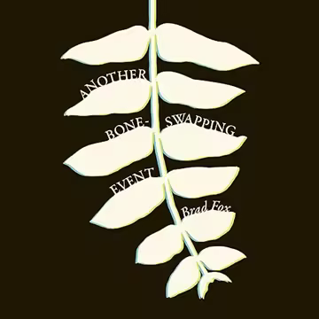 [Image: 2741042f1cd2648e13223fa46fee5c9c.avif]