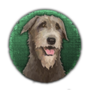 71a072044efefd748fc3f0401af48bec.png?md5