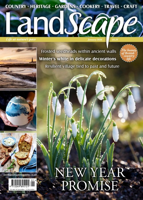 Landscape UK - January 2026
