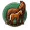 b13d8dc53864d9b115bfe622ef95757f.png?md5