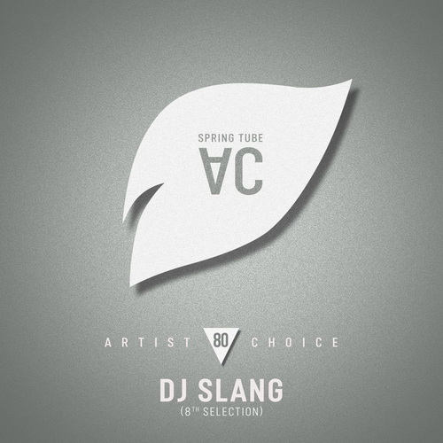 Artist Choice 080 DJ Slang (8th Selectio) (2025)