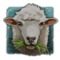 ab4fa812365694ccdfbd321229c711e6.png?md5