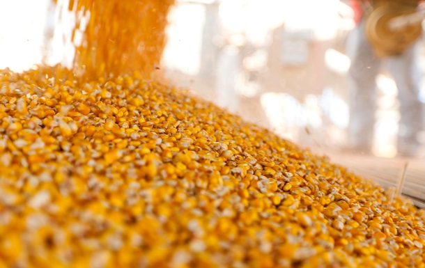 Украина завершает уборку урожая: результаты за 2025 год и прогнозы на 2026