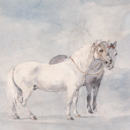 Horses - Every Dumb Thing I Ever Did (2025) [FLAC]