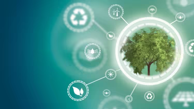 Circular Economy Ultimate Guide Profits, Planet & People