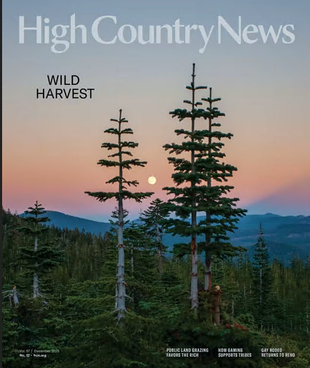 [Image: 144161a58cd5da9a71d7b76040f968ea.png]