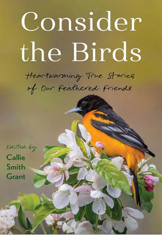 [Obrazek: 6d28a8f06e52dbac72dda7b4f22c805b.png]