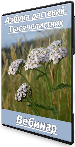 Азбука растений. Тысячелистник [FestTrav] (2025) Вебинар