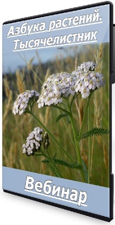  .  [FestTrav] (2025) 