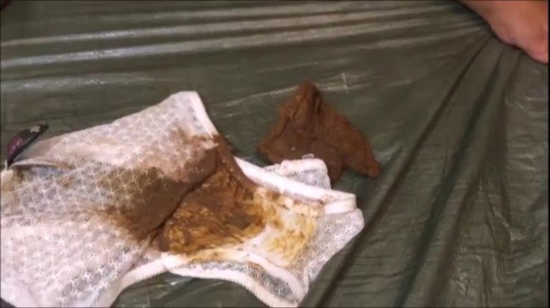 girlsscatandpiss – I shit in panties and make my pig eat it [SD 856P]