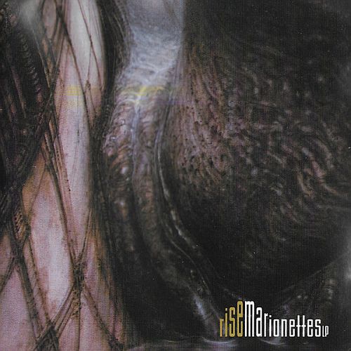 The Marionettes - Rise (1995) (LOSSLESS) The Marionettes - Rise (1995) (LOSSLESS)