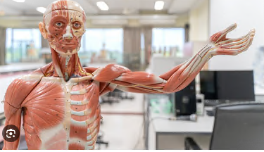 [Obrazek: f5f72a46476b028eac8057ed7910de8c.png]