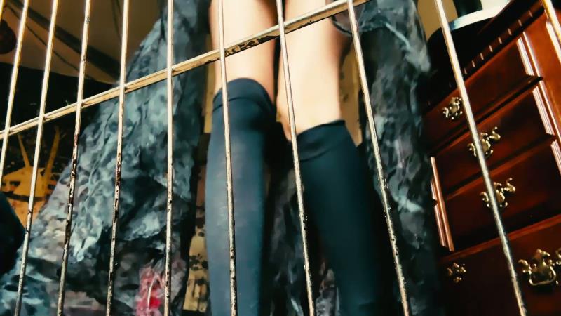 EnchantrixV - Enchanting You Into a Pet [FullHD 1080P]