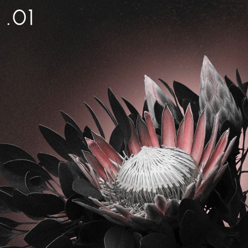 IVORY - .01 [EP] (2025)