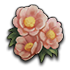 d776610d3777d61179200949079e8484.png?md5