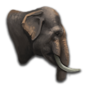 aeaec7292a28a653e7effade384309b4.png?md5