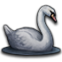 09773f86d1a7da4b559441f60fbdb2eb.png?md5