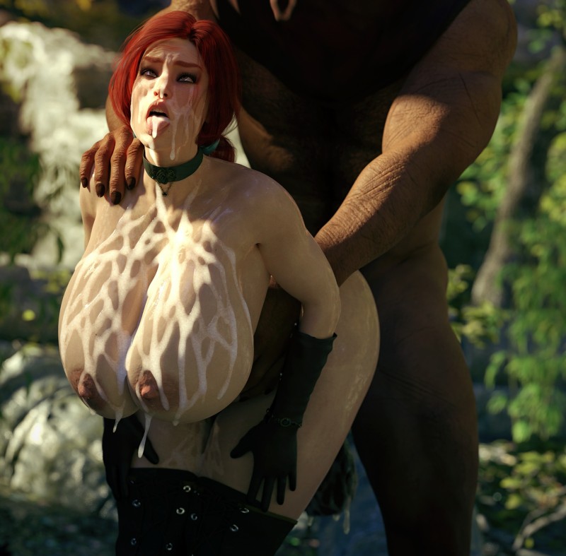 [Rigid3d] The Witcher 3D Porn Comic