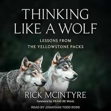 [Image: c9cad287a81b0c5b3e719d735edfa108.avif]