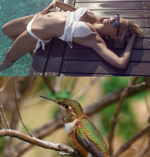 Mixturka - Wallpapers Collection 248