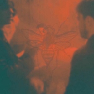 Threnodian - As Hornets Build Their Homes [Single] (2025)