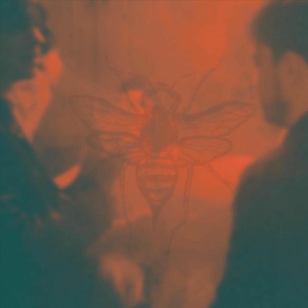 Threnodian - As Hornets Build Their Homes [Single] (2025)