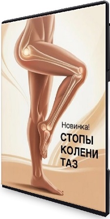 постер к Ольга Дробышева - Стопы, колени, таз (2025) Видеокурс