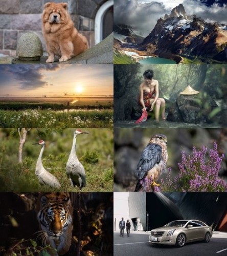 Wallpapers Mix №1988