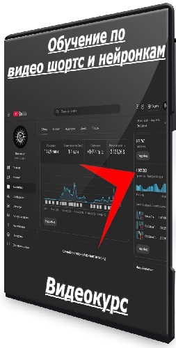 Владимир Степанец - Обучение по видео шортс и нейронкам (2025) Видеокурс