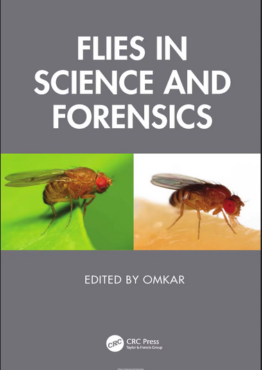 [Image: 52d0a0ed1834aa475712889d6c2ac803.png]