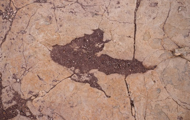 В Боливии обнаружили более 16 тысяч отпечатков динозавров