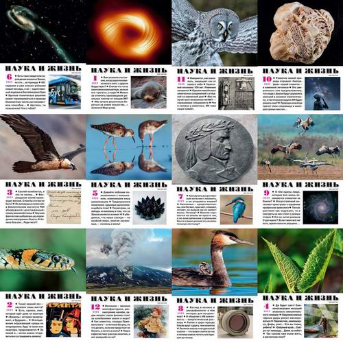 Наука и жизнь №1-12 (январь-декабрь 2025). Архив 2025