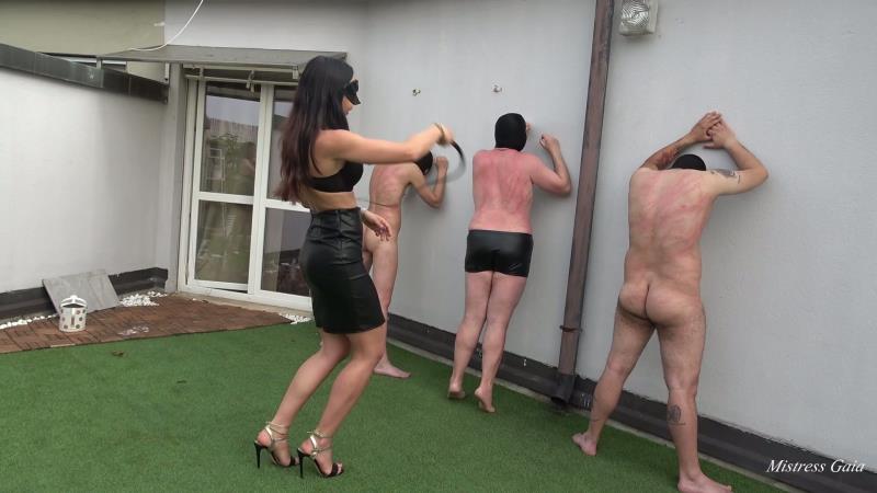 Mistress Gaia - Whipping The Wall [FullHD 1080P]