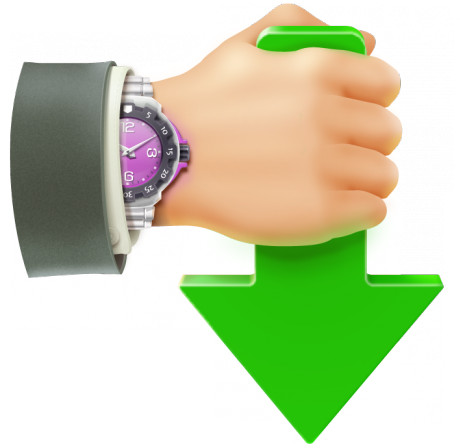 Internet Download Accelerator Pro 7.3.1.1745 Multilingual